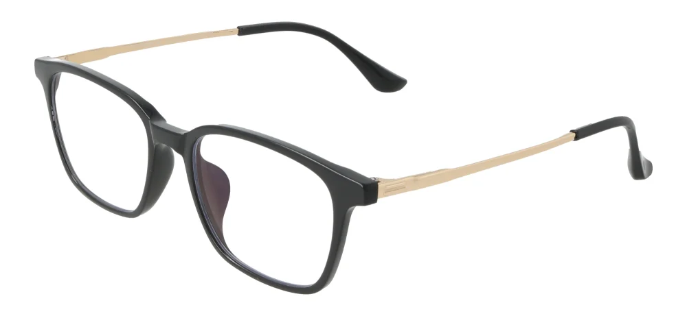 Eyewear E9231