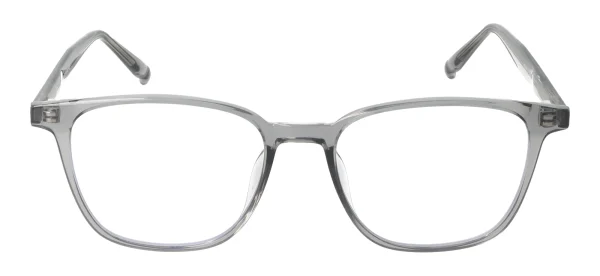 Eyewear E9230 – Pilka
