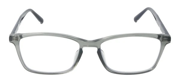 Eyewear E9229 – Pilka