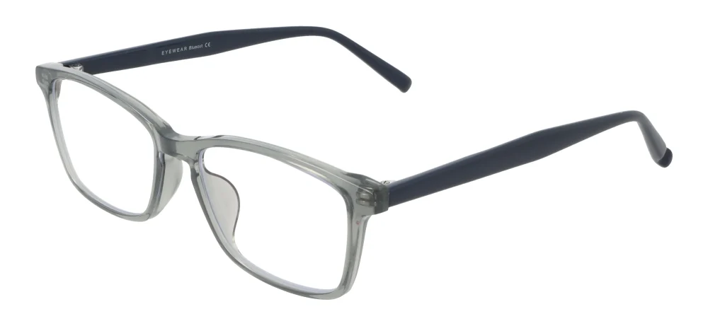 Eyewear E9229