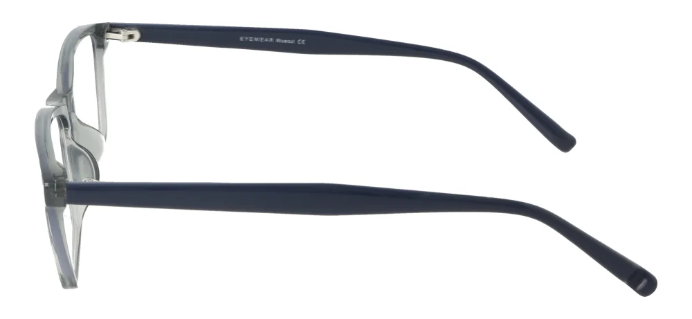Eyewear E9229