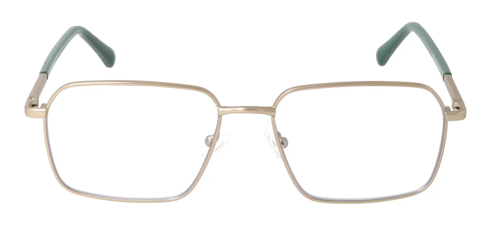 Eyewear E9233