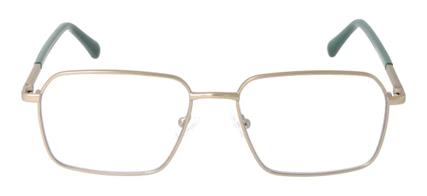 Eyewear E9233 – Auksinė