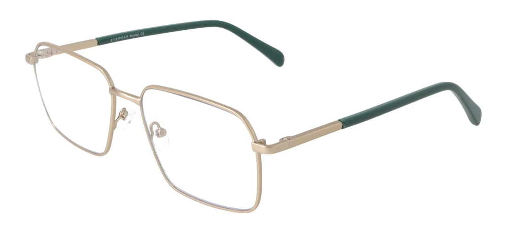Eyewear E9233