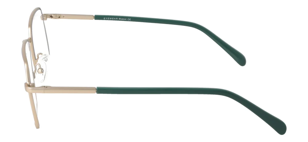Eyewear E9233