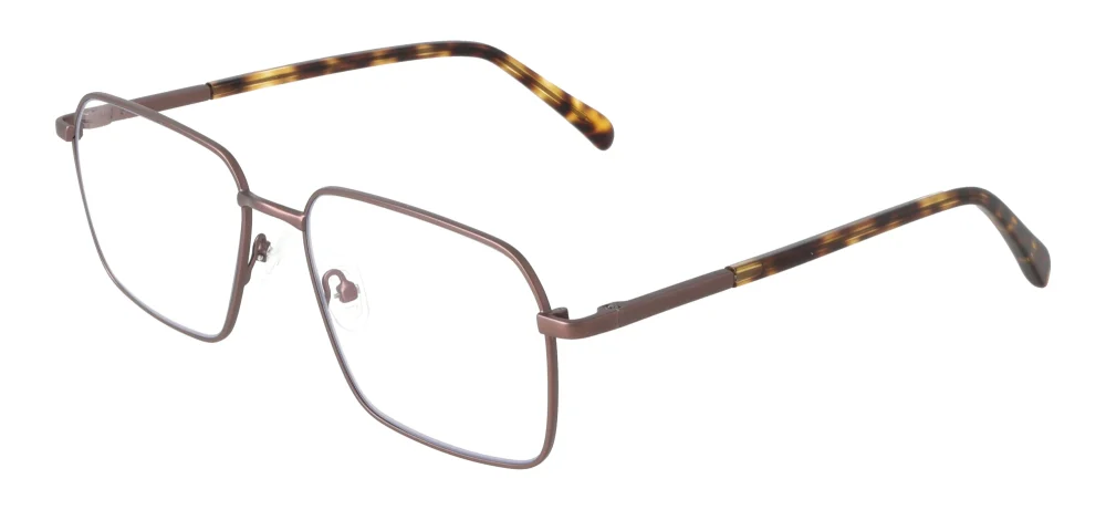 Eyewear E9233