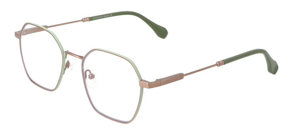 Eyewear E9232