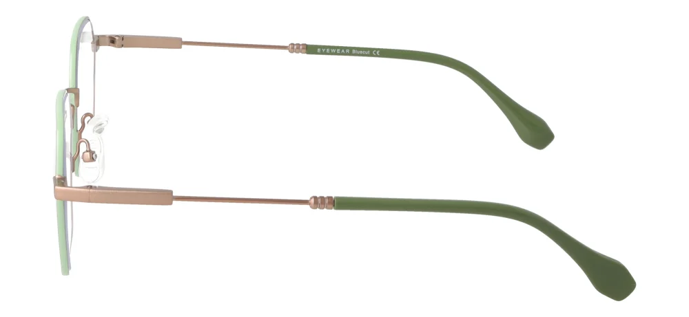 Eyewear E9232