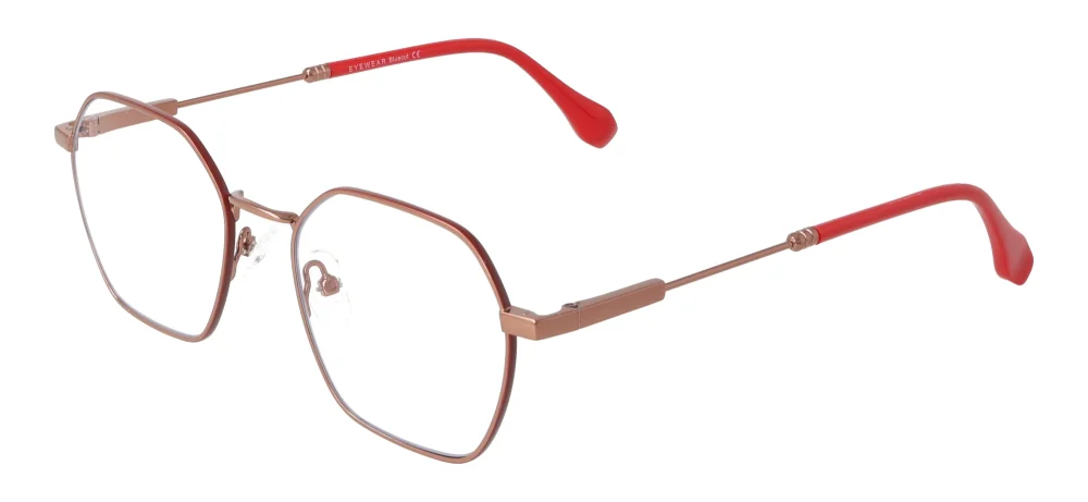 Eyewear E9232