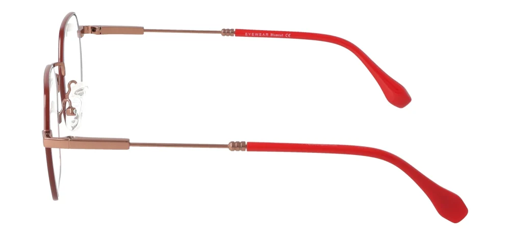 Eyewear E9232