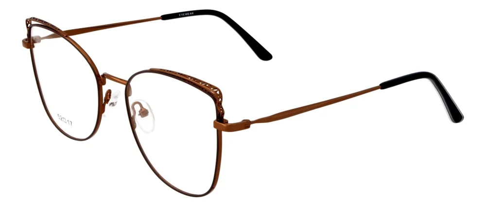 Eyewear E2060